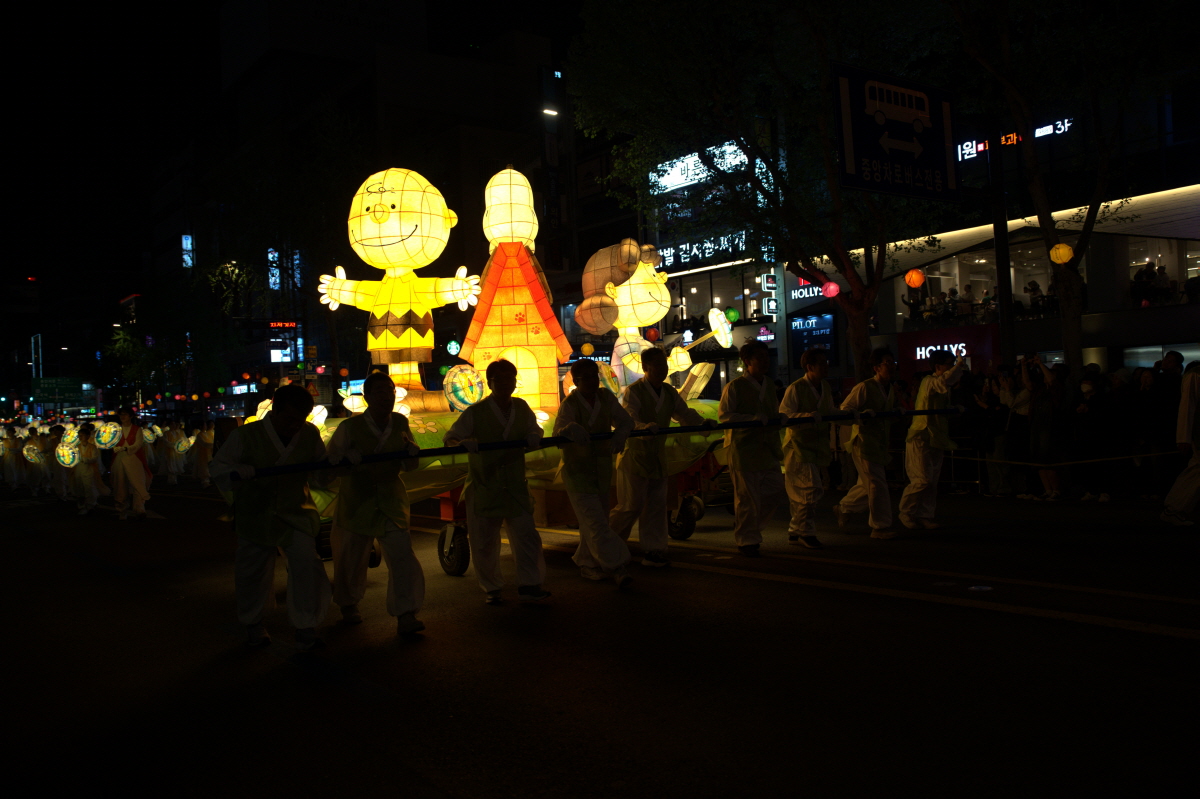 DSC01382.jpg