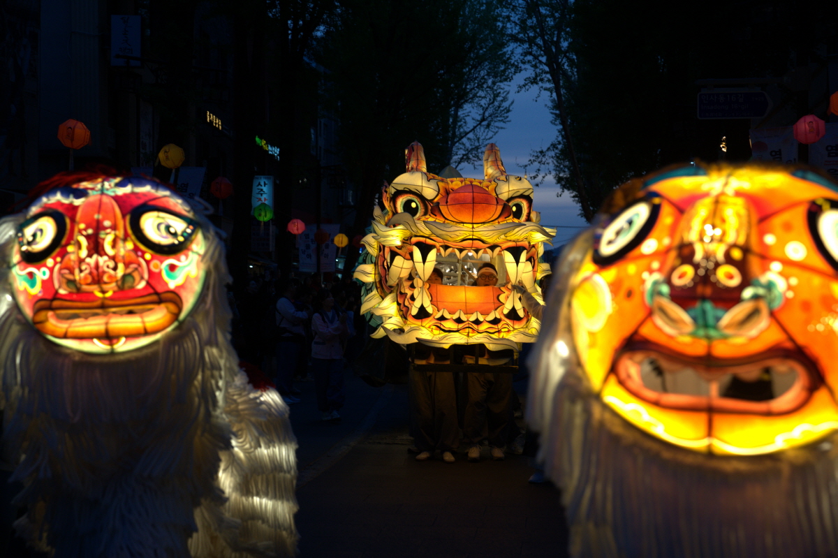 DSC02837.jpg