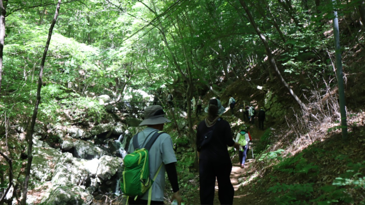 사본 - IMG_2450.jpg