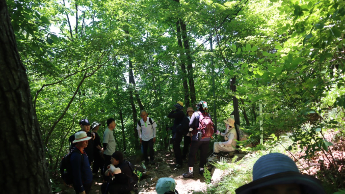 사본 - IMG_2467.jpg