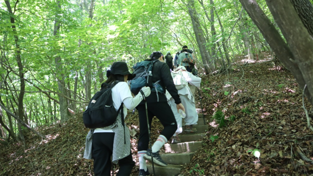 사본 - IMG_2542.jpg