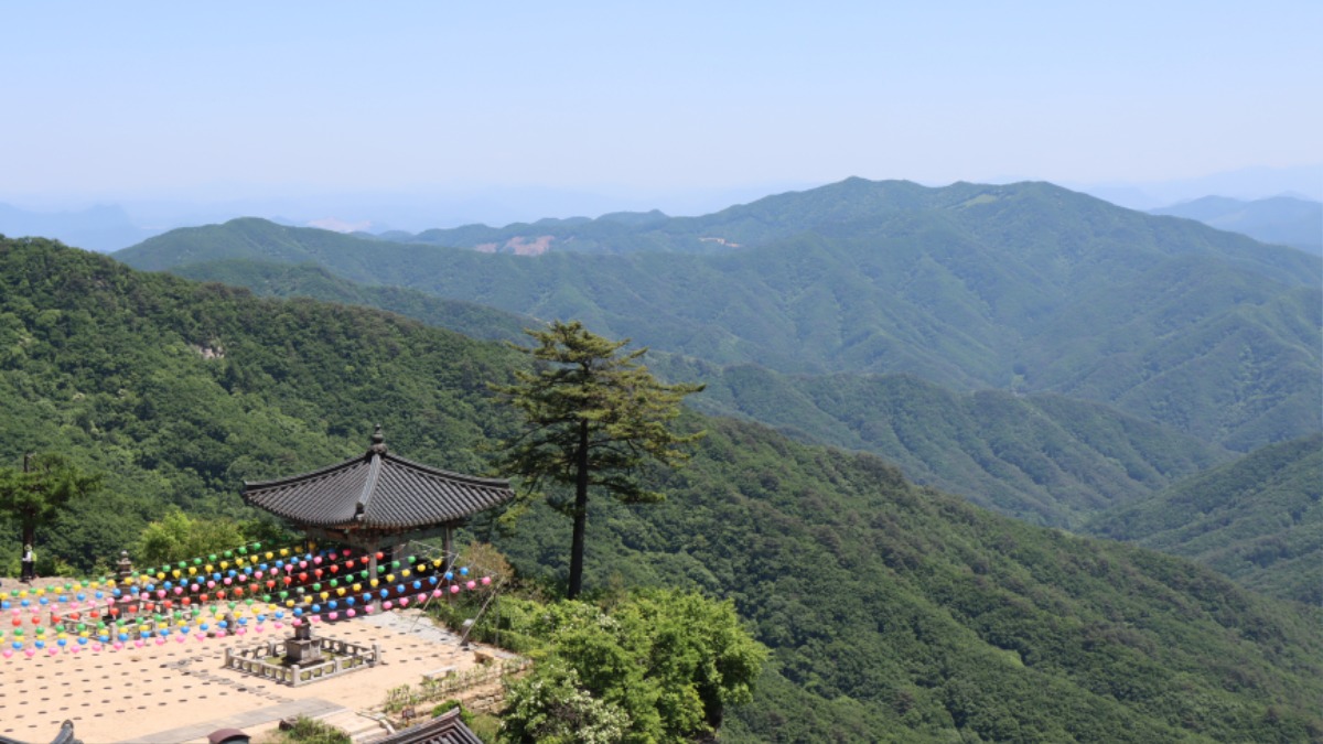 사본 - IMG_2605.jpg