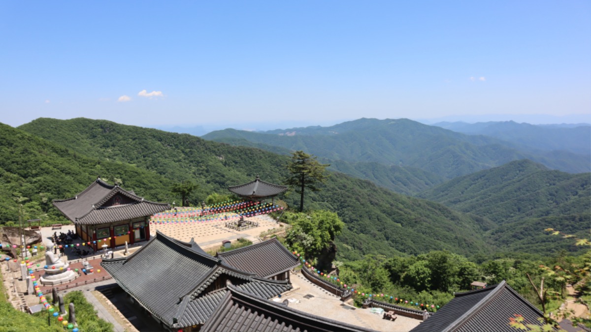 사본 - IMG_2603.jpg