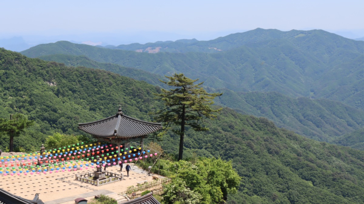 사본 - IMG_2610.jpg