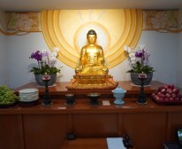 DSC00416.JPG