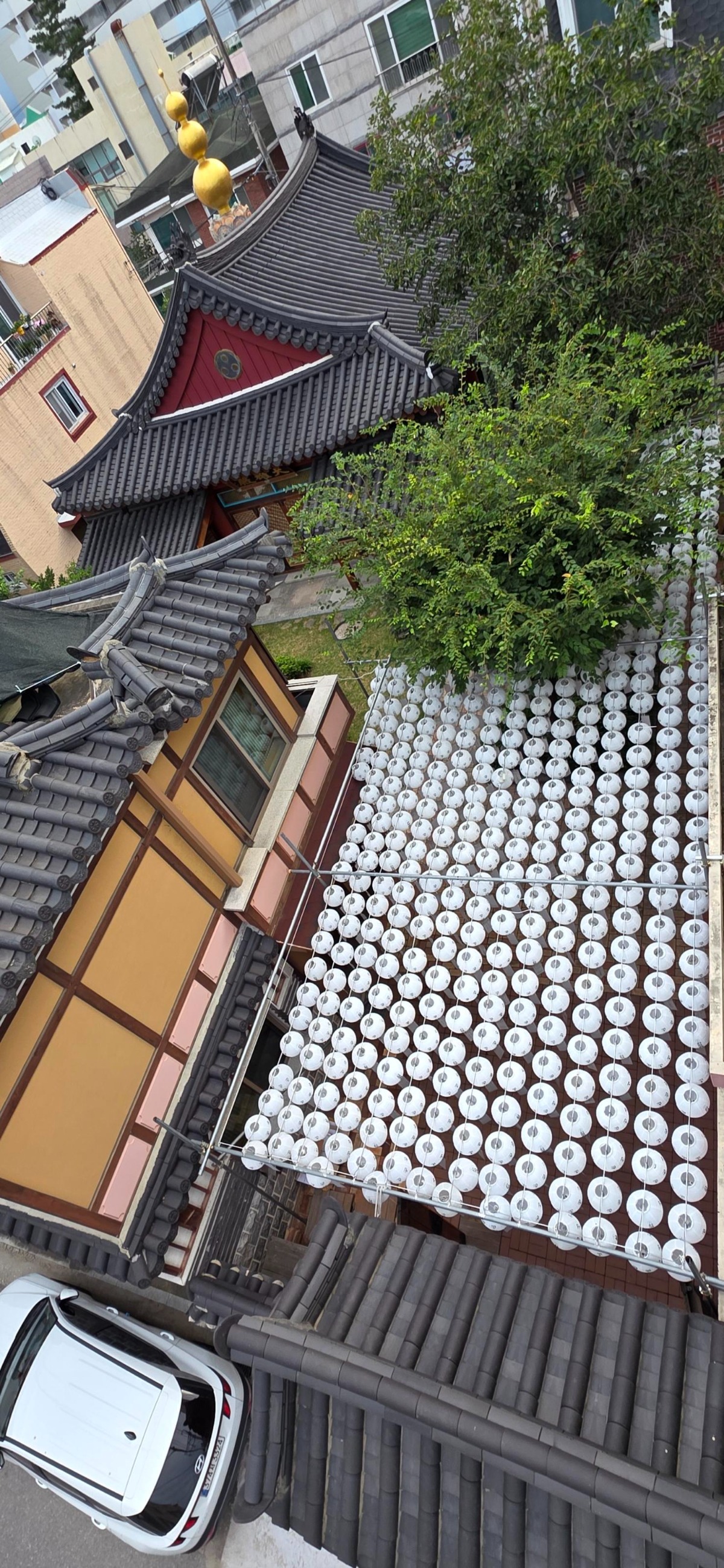 [크기변환]18.jpg