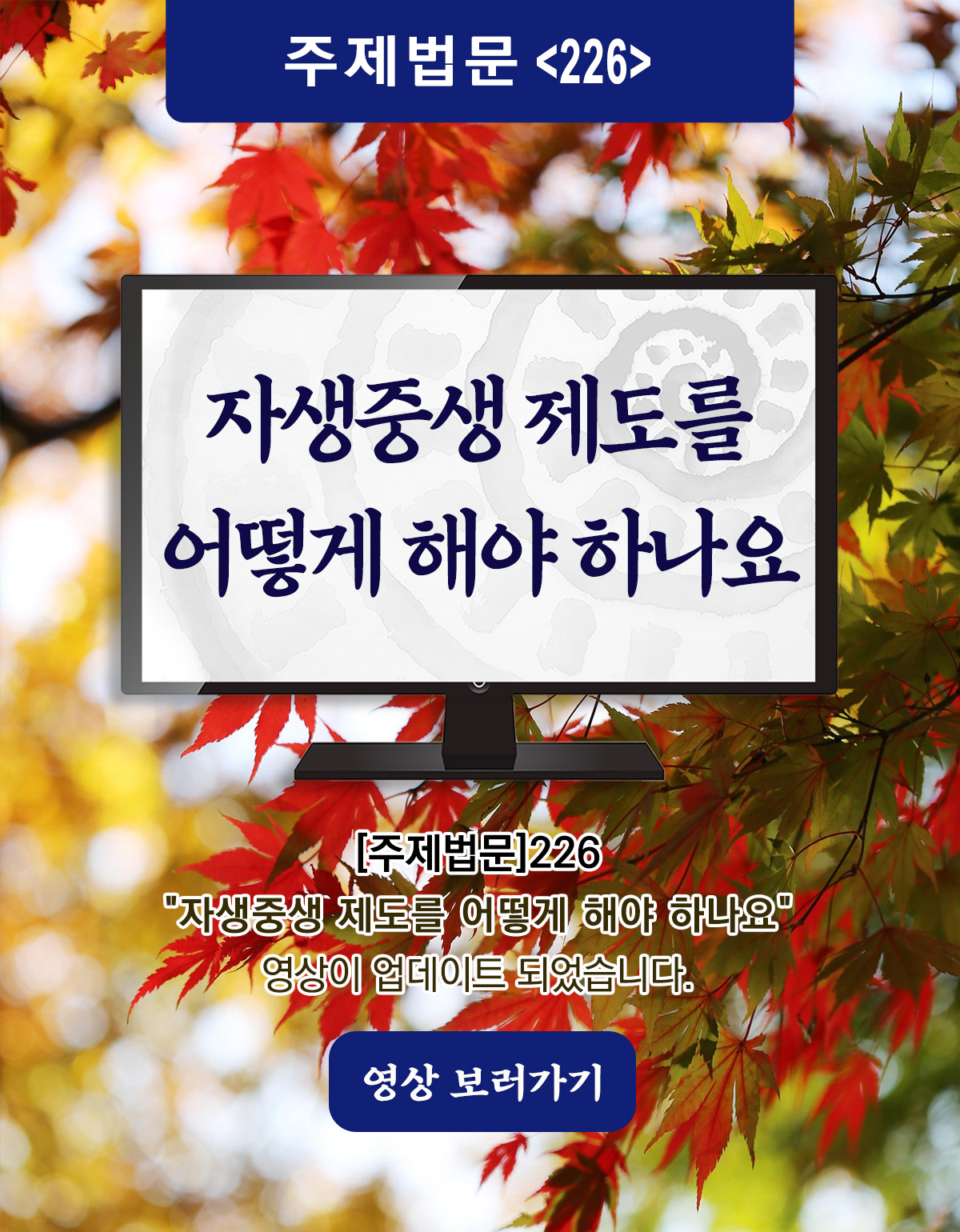 주제법문_226_Board.jpg