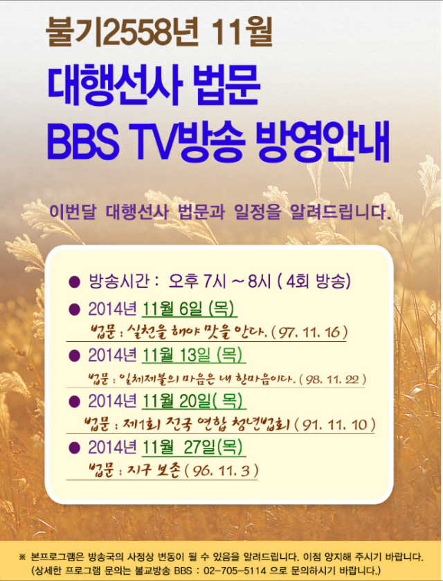 BBS TV 11월.png