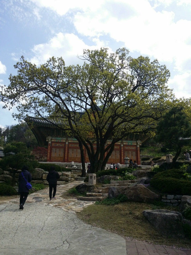 KakaoTalk_20160418_231120744.jpg